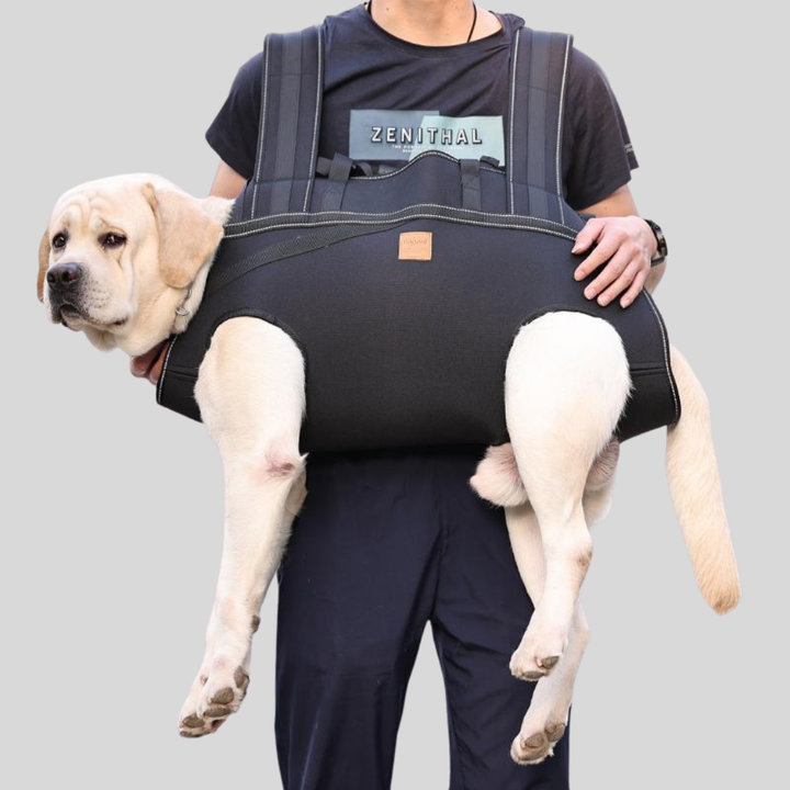 Multifunctional Pet Carrier Backpack