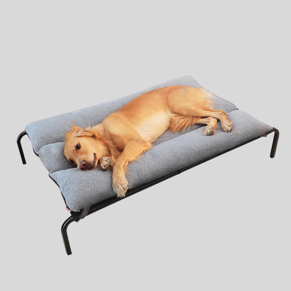 Removable & Washable Pet Bed