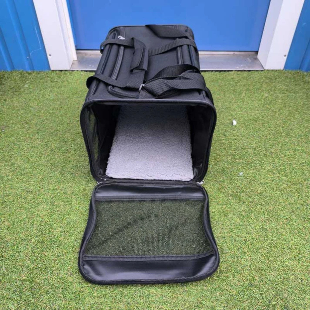 Cabin‑Ready Carrier for Small Cats & Dogs