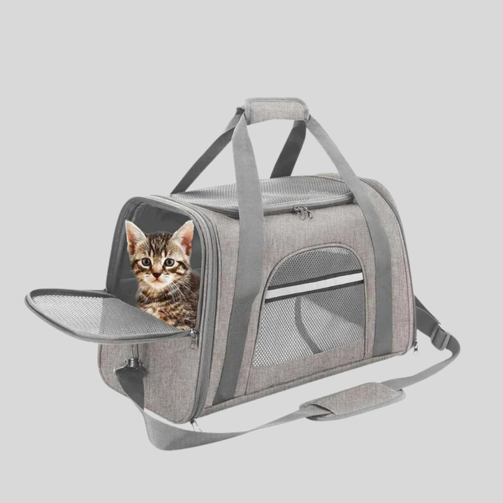 Cat Travel Bag