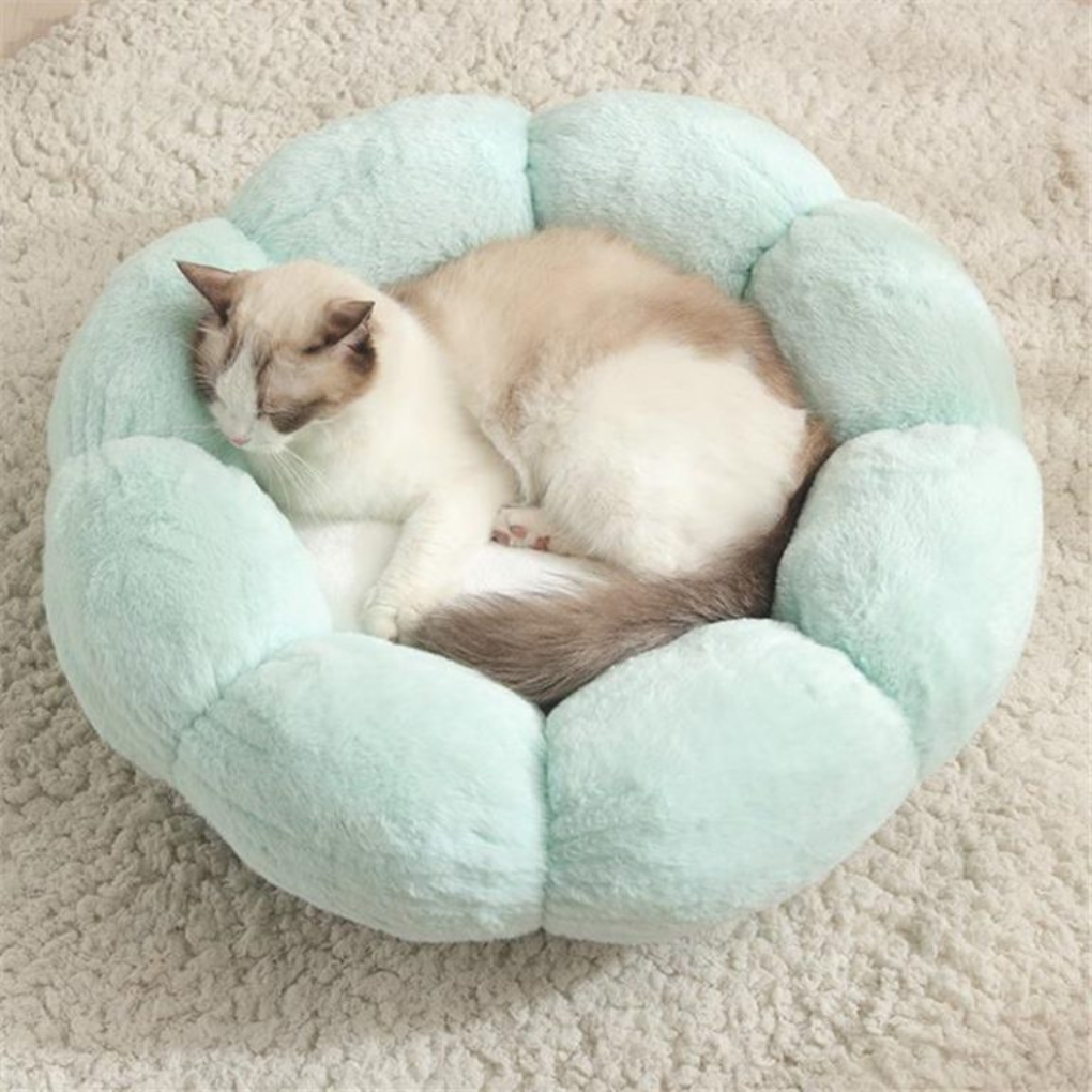 Flower-Shaped Cat Bed
