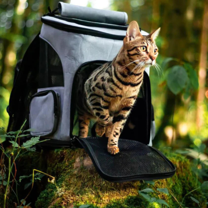 Cat Backpack Safe Travel & Comfort