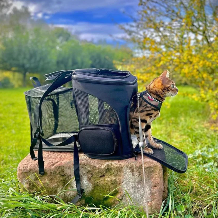Cat Backpack Safe Travel & Comfort