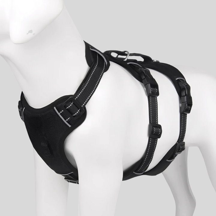 Adjustable Dog Harness