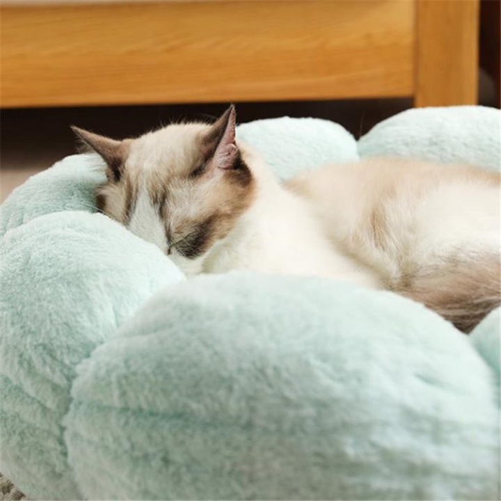 Flower-Shaped Cat Bed