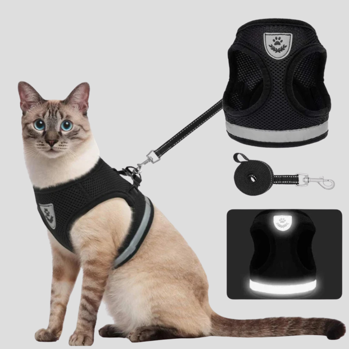 Cat Harness with Leash Set