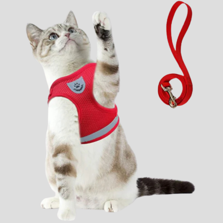 Cat Harness with Leash Set