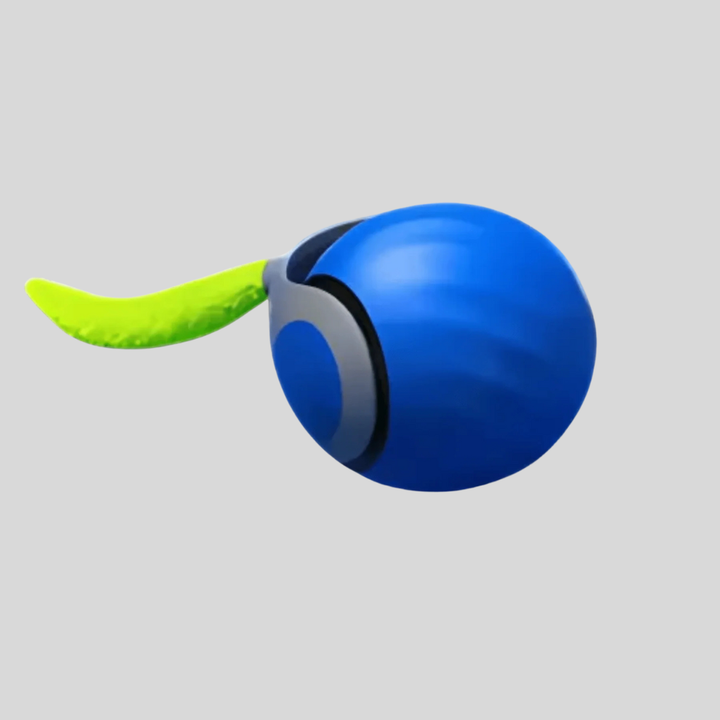 Interactive Rolling Ball Toy