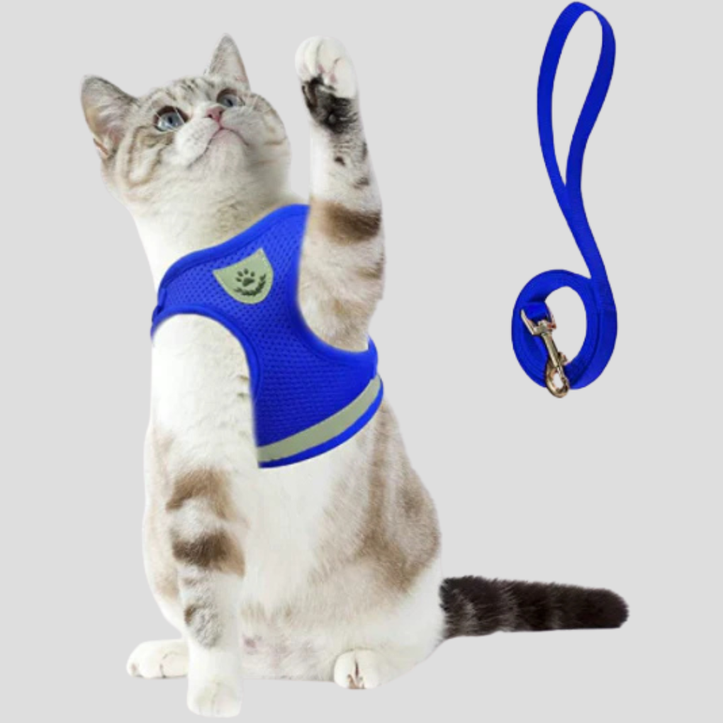 Cat Harness with Leash Set