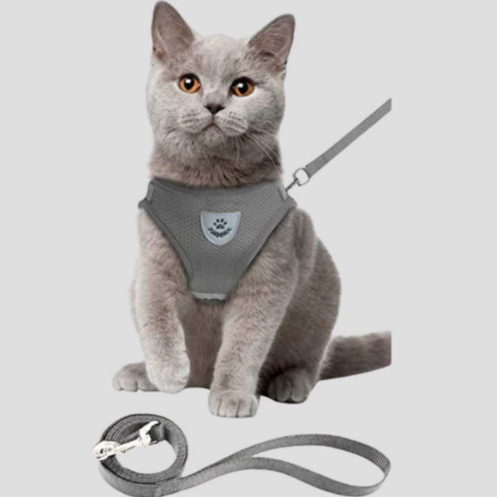 Cat Harness with Leash Set