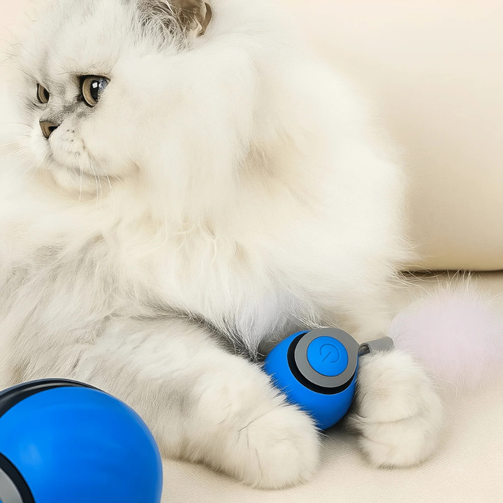 Interactive Rolling Ball Toy