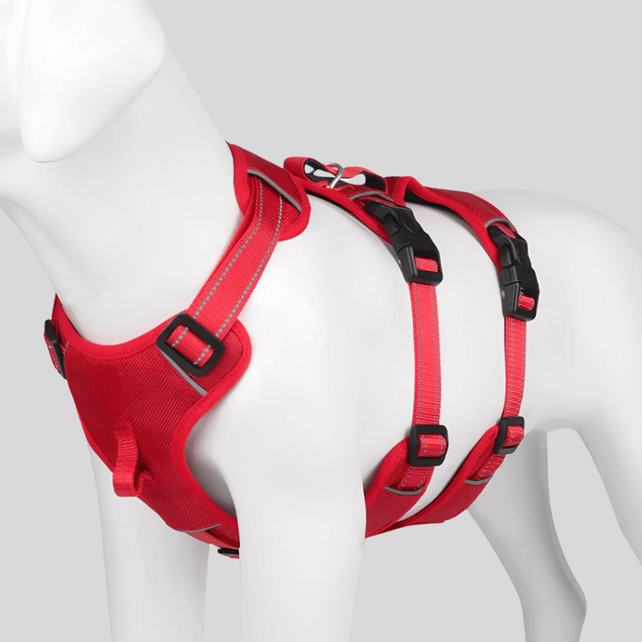 Adjustable Dog Harness