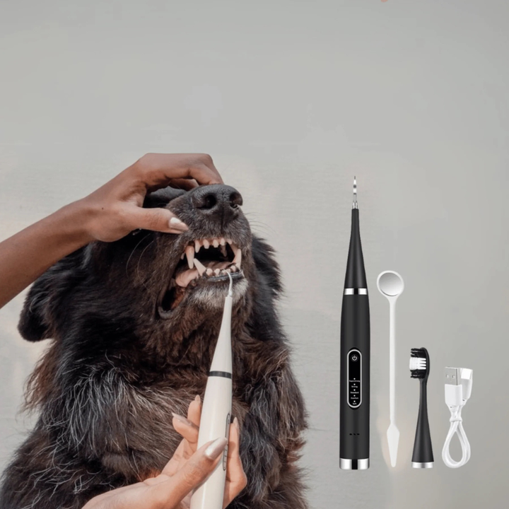 Ultimate Cleaning Brush Kit