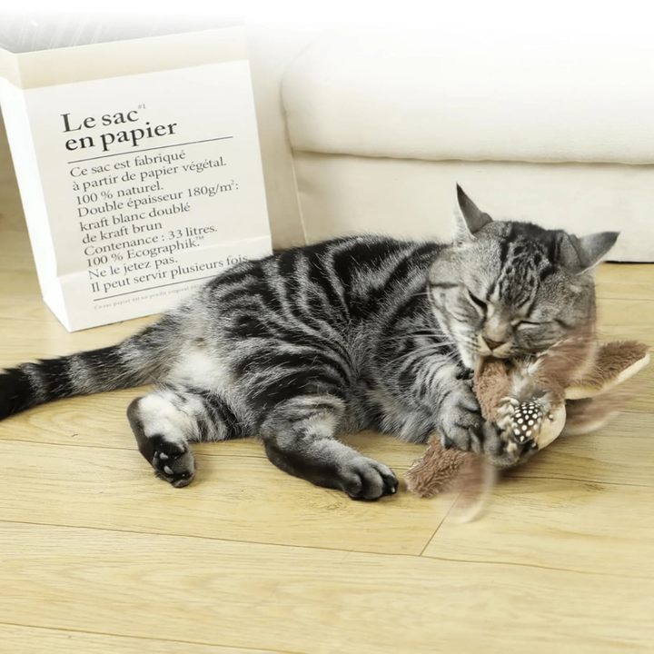 Interactive Bird Cat Toy