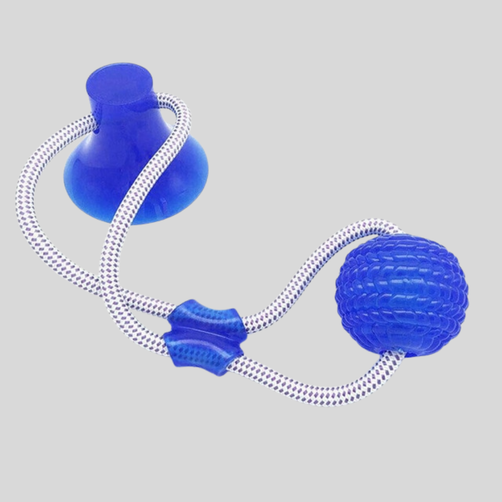 Dog Pull Toy