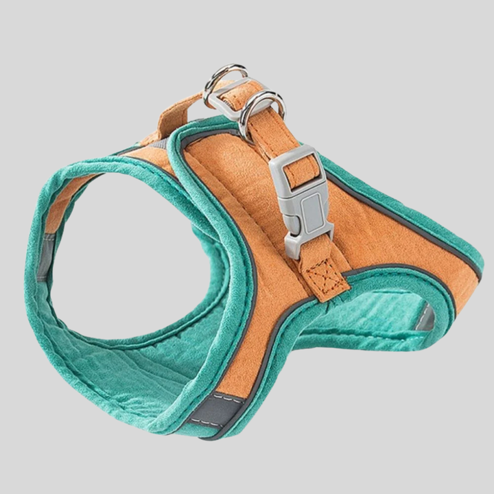 Cat Harness & Leash Set