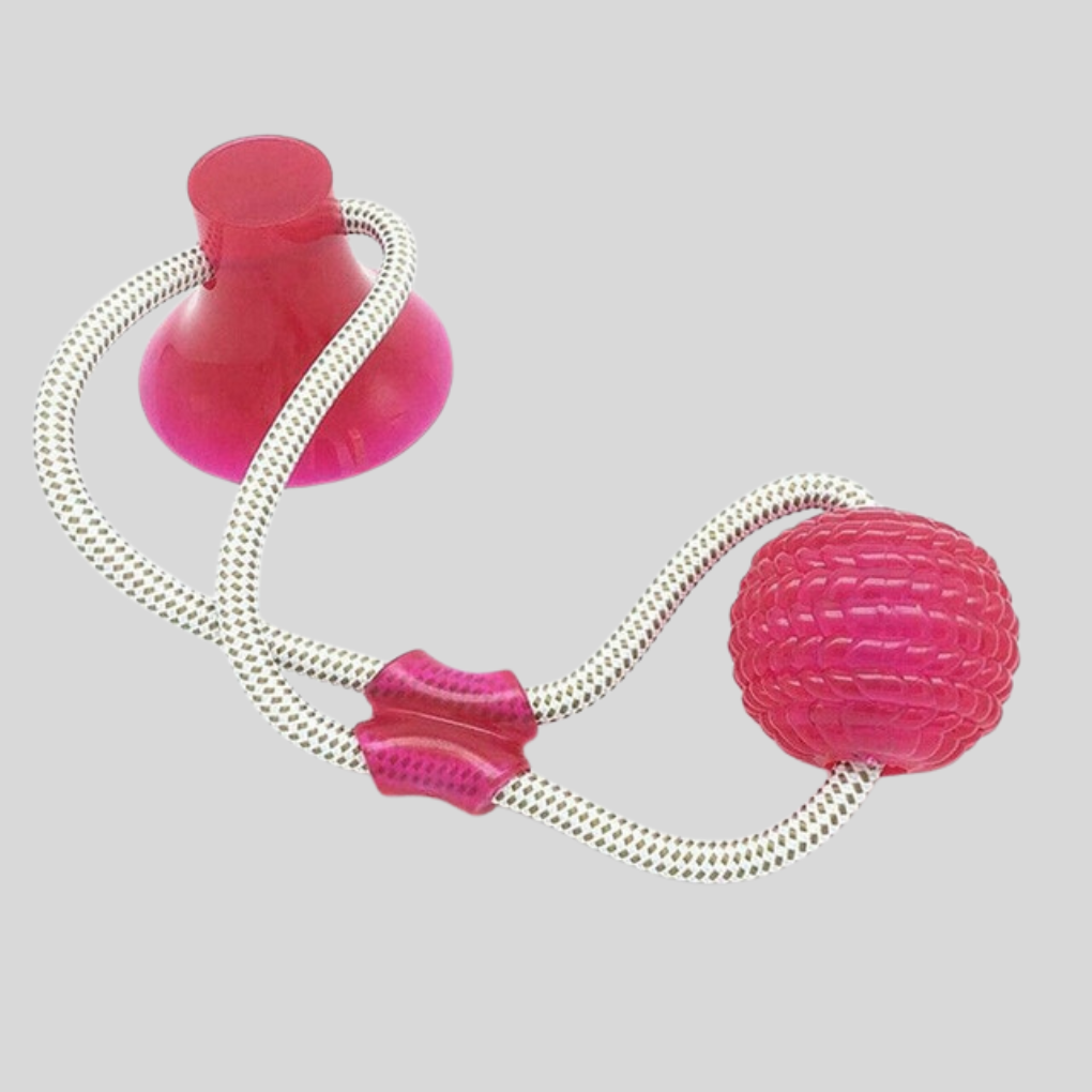 Dog Pull Toy
