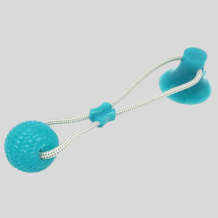 Dog Pull Toy