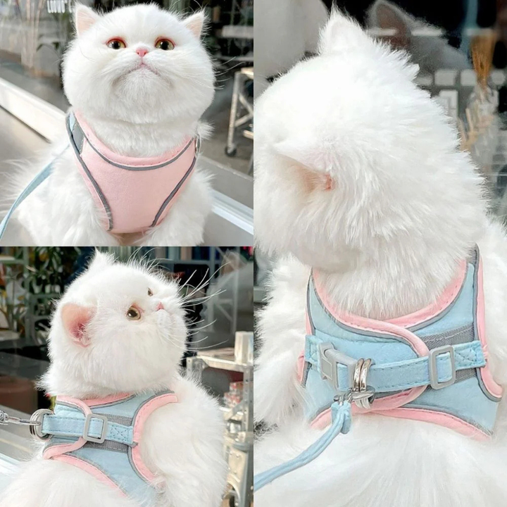 Cat Harness & Leash Set