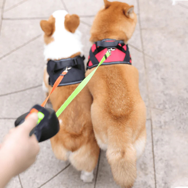 Tangle-Free Dual Dog Leash with Flashlight