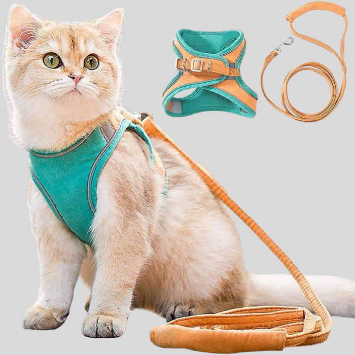 Cat Harness & Leash Set