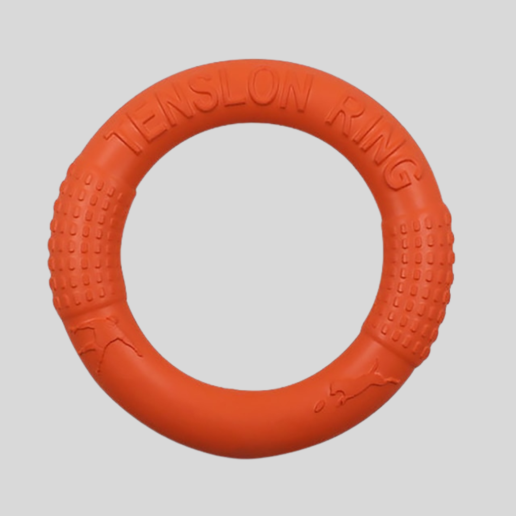 Rubber Dog Play Ring