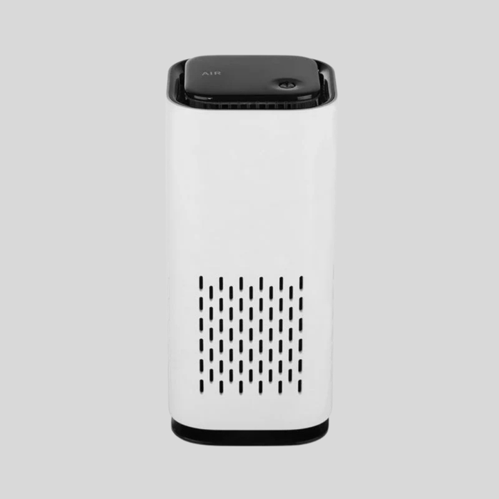 Pet Air Purifier