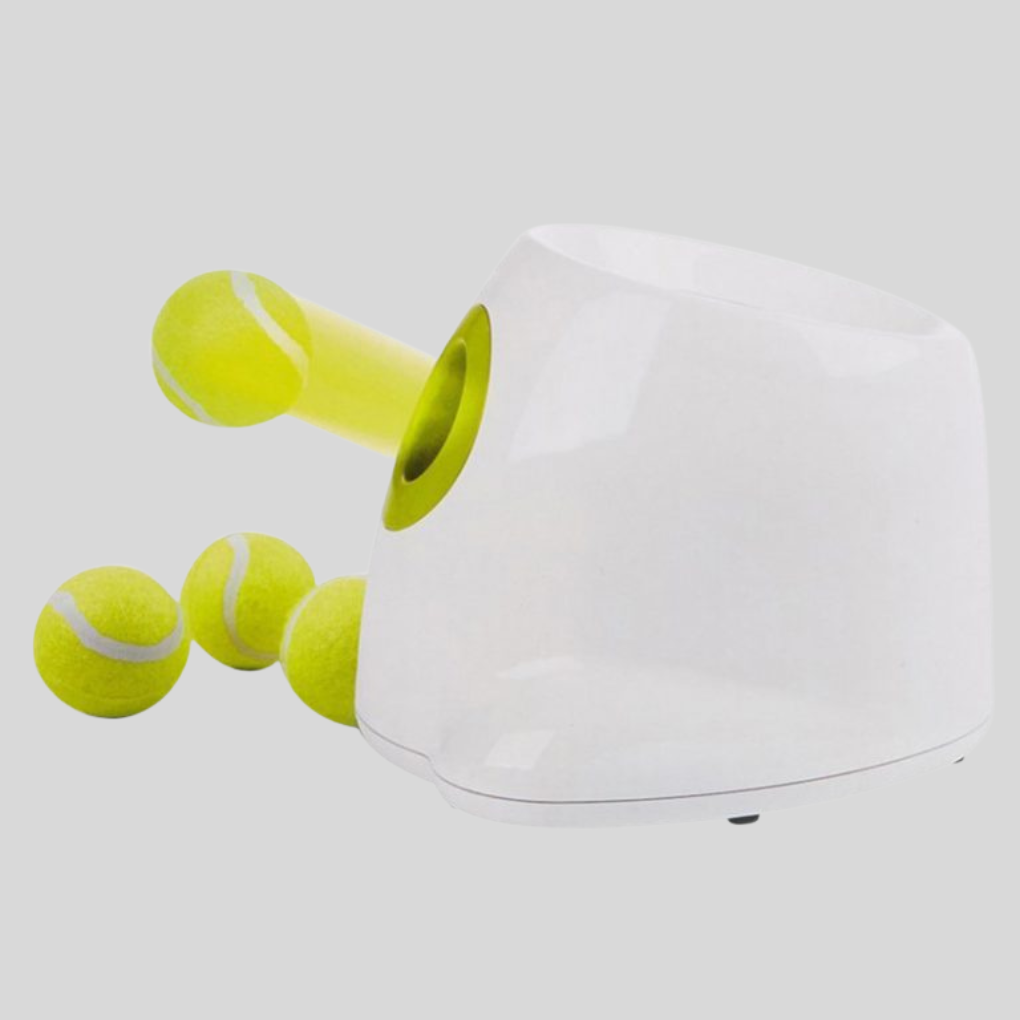 Automatic Dog Ball Launcher