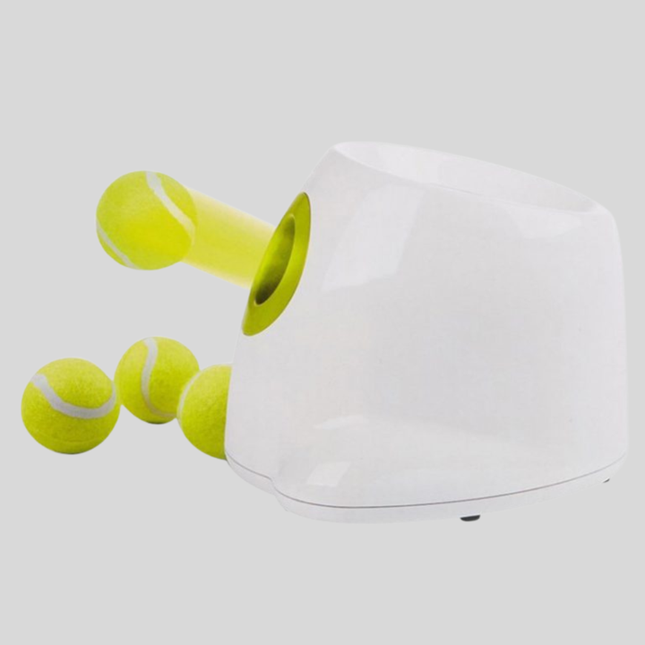 Automatic Dog Ball Launcher