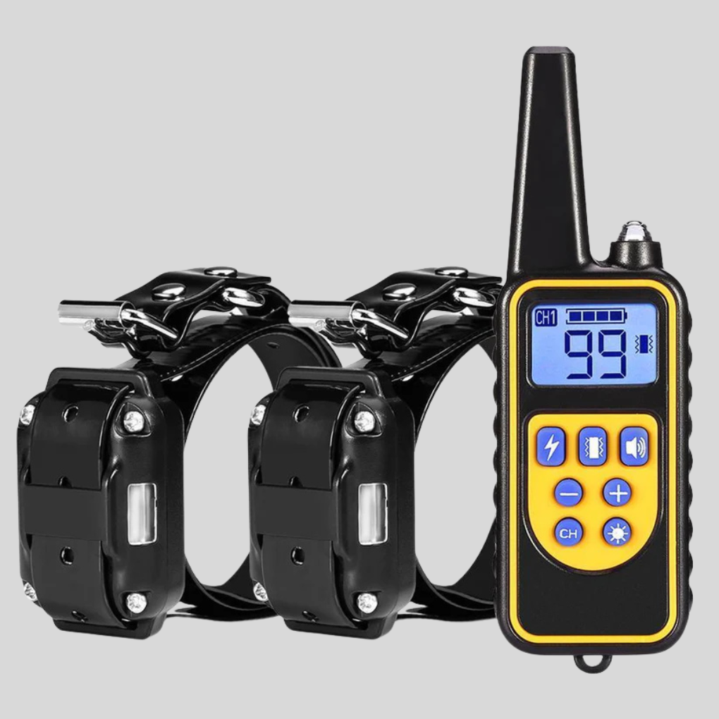 Dog Training Collar with Remote