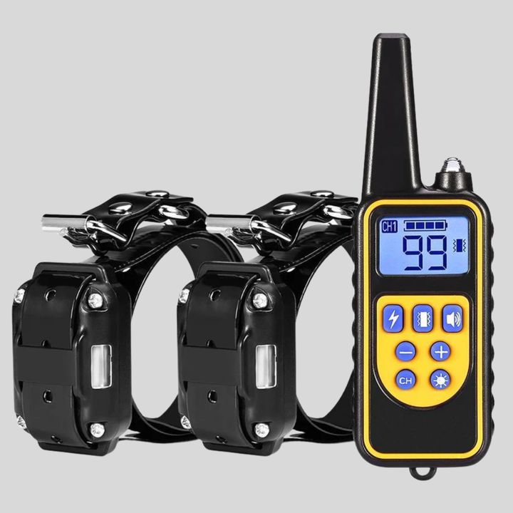 Dog Training Collar with Remote