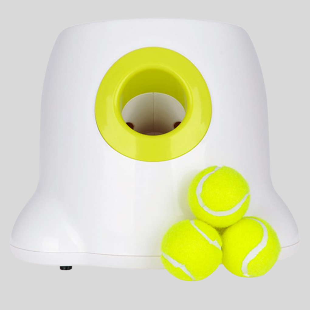 Automatic Dog Ball Launcher