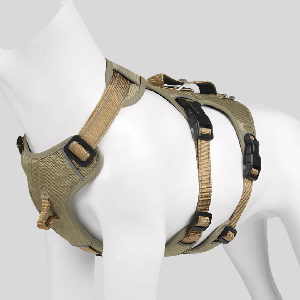 Adjustable Dog Harness