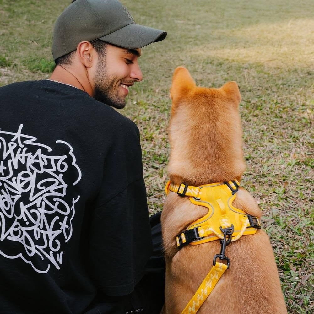 Reflective Adjustable Outdoor Dog Harness
