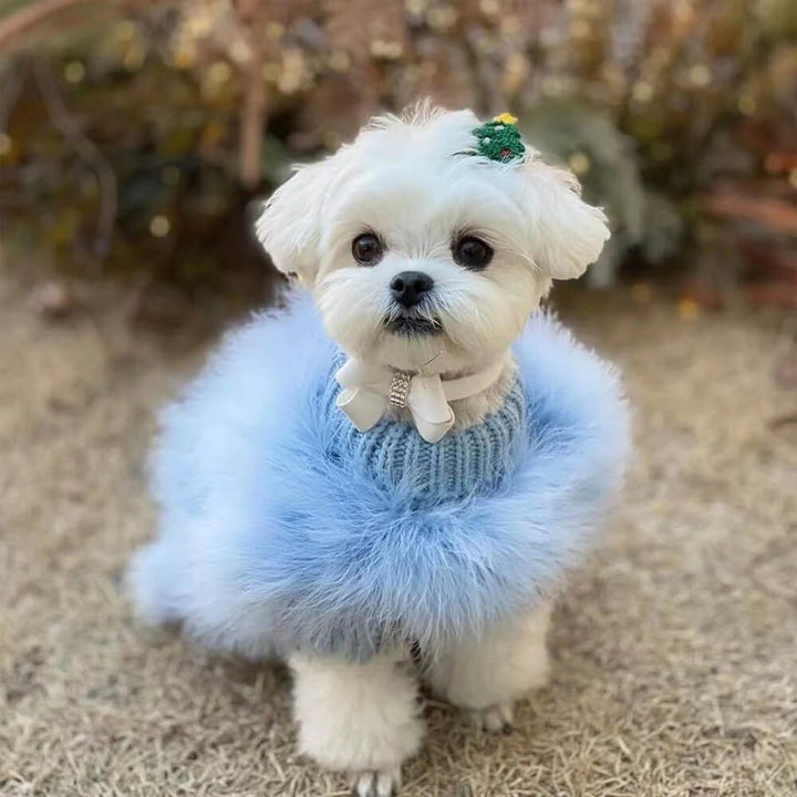 Soft & Cozy Turtleneck Dog Sweater