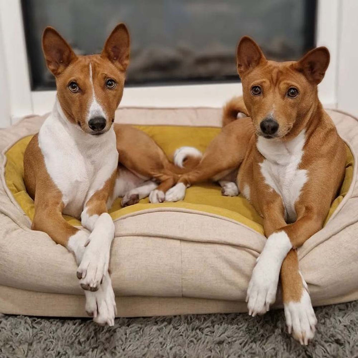 Donut Dog Bed Replacement Cover