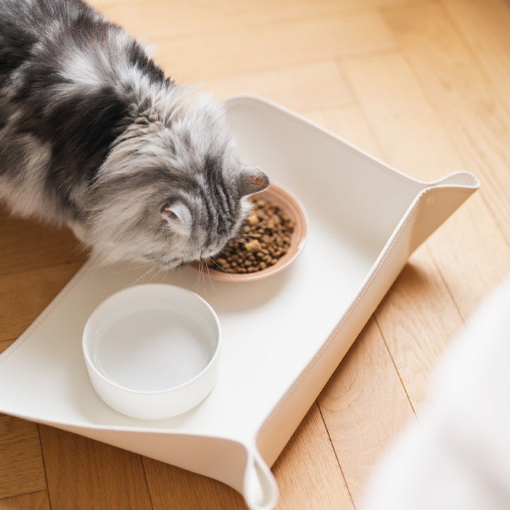 Spill-Proof Waterproof Pet Bowl Mat