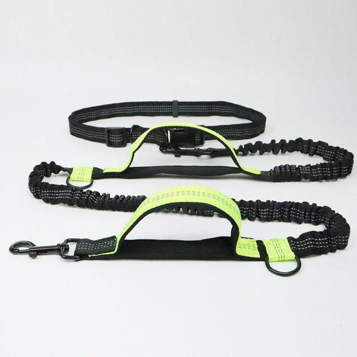 Multifunction Hands-Free Dog Lead with Safety Seat Belt