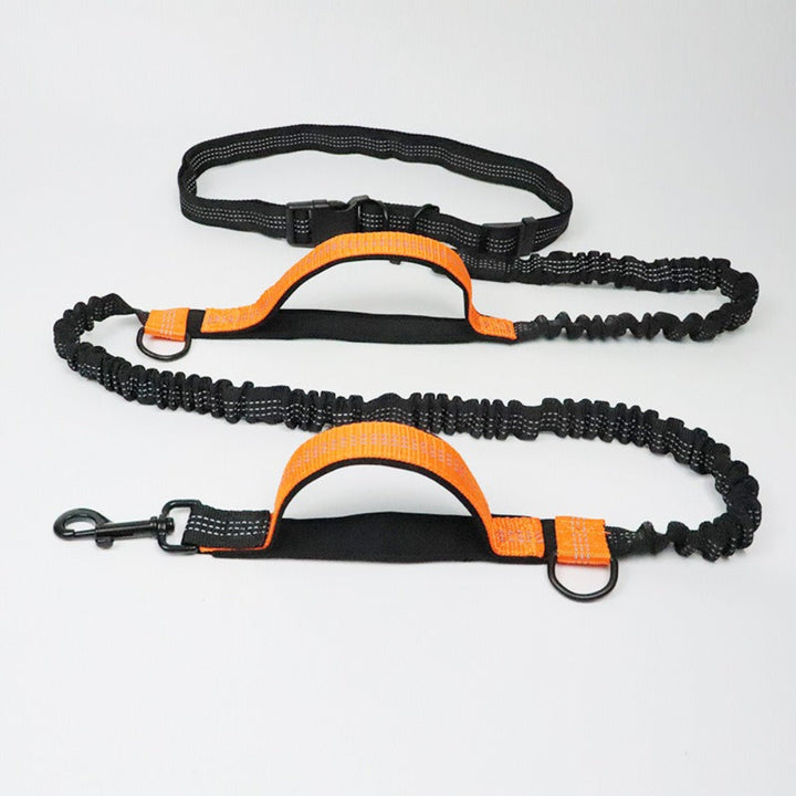 Multifunction Hands-Free Dog Lead with Safety Seat Belt