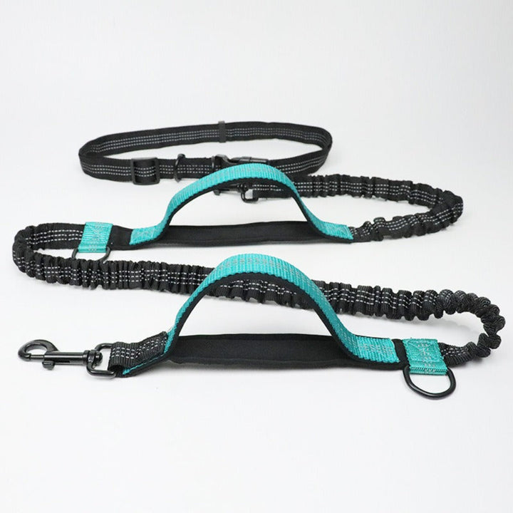 Multifunction Hands-Free Dog Lead with Safety Seat Belt