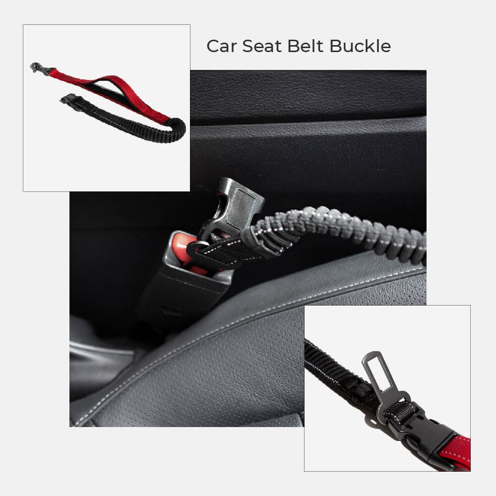 Multifunction Hands-Free Dog Lead with Safety Seat Belt
