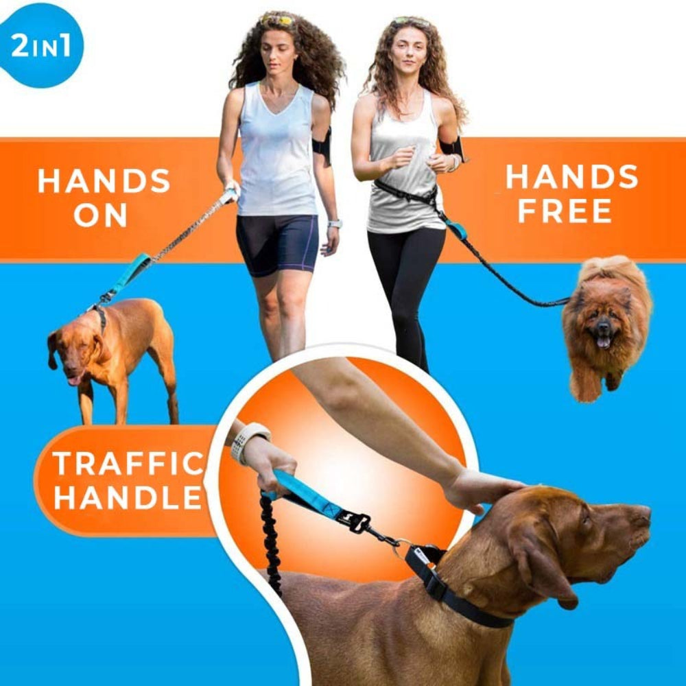 Multifunction Hands-Free Dog Lead with Safety Seat Belt