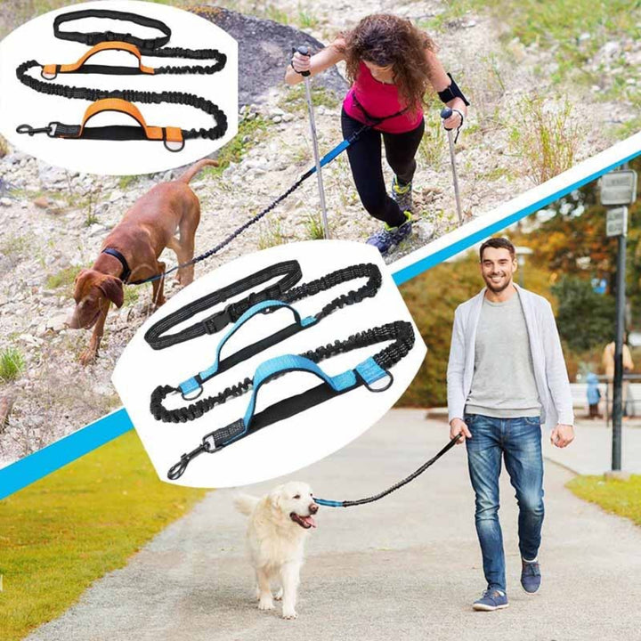 Multifunction Hands-Free Dog Lead with Safety Seat Belt