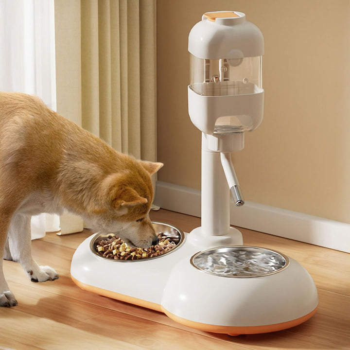 Pet Feeding Bowl Station Automatic Food & Water Dispenser