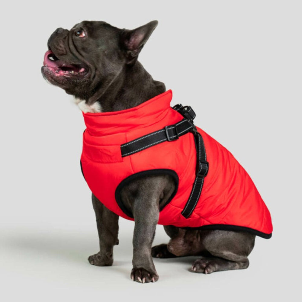 Waterproof Dog Jacket with Harness