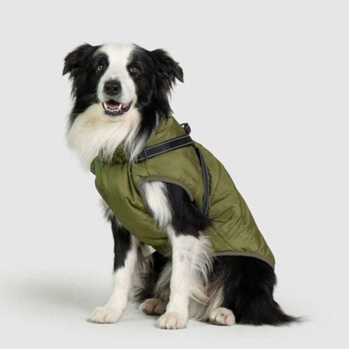 Waterproof Dog Jacket with Harness