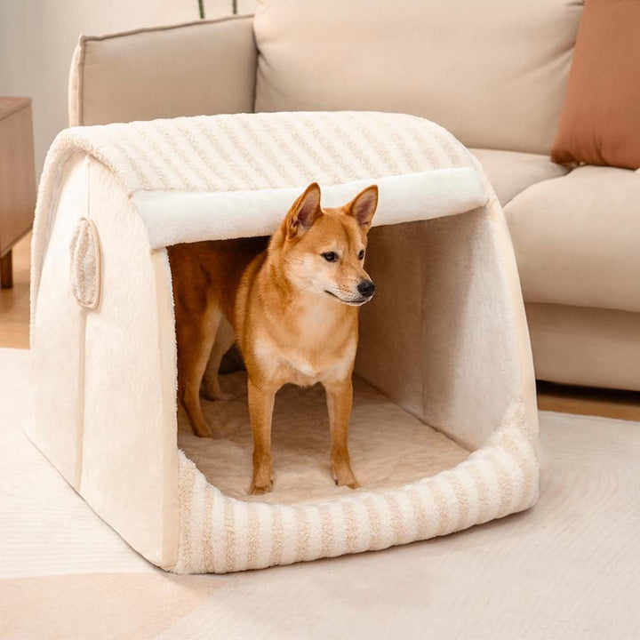 Trendy Striped Orthopaedic Dog Bed