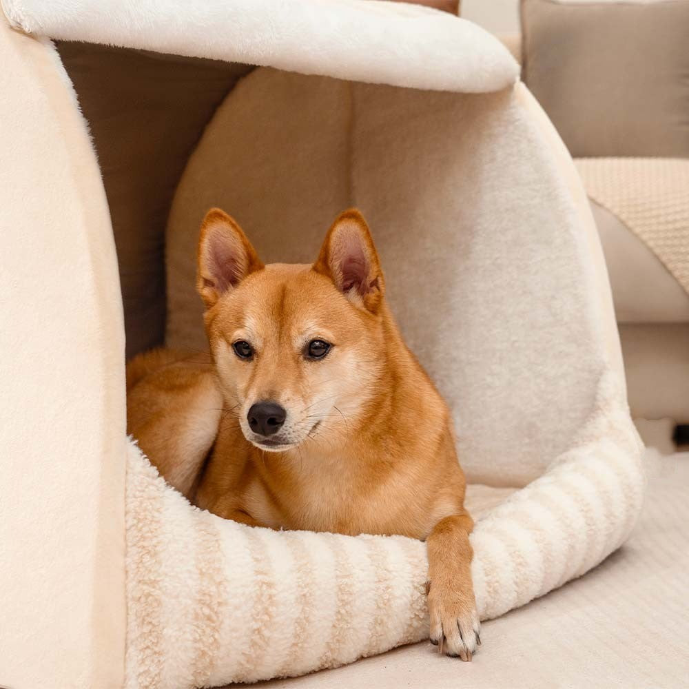 Trendy Striped Orthopaedic Dog Bed