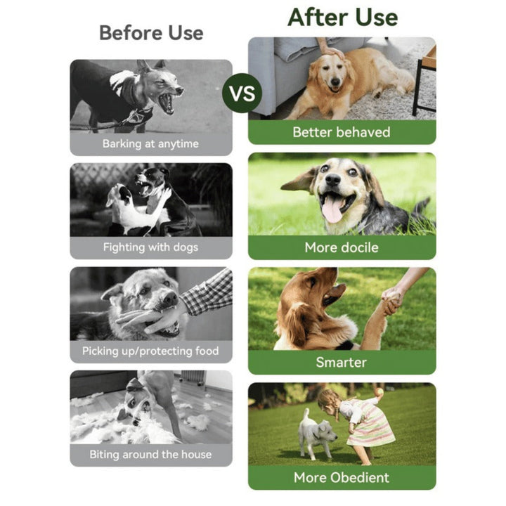 Smart Training Collar & Remote 300 m Range