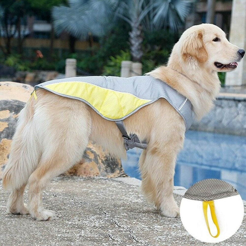 Cooling Comfort Dog Vest – Lightweight Relief for Hot Days